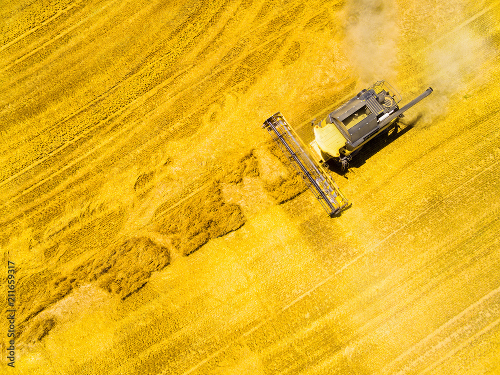 Aerial view of combine harvester. Harvest of wheat field. Industrial background on agricultural theme. Biofuel and food production from above. Agriculture and environment in European Union. Aerial view of combine harvester. Harvest of wheat field. Industrial background on agricultural theme. Biofuel and food production from above. Agriculture and environment in European Union.