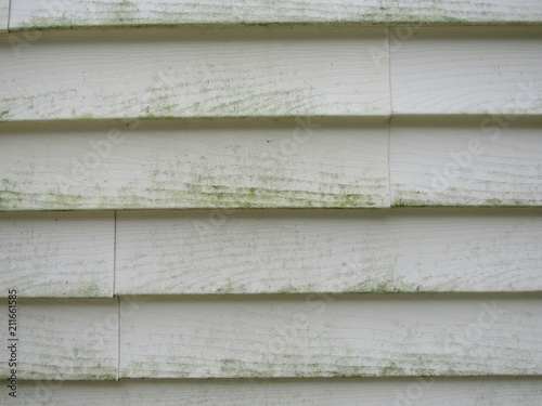 Close up of mold and mildew on house siding 