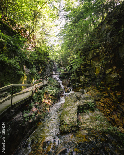 Flume Gorge White Mountain Franconia Lincoln NH New Hampshire
