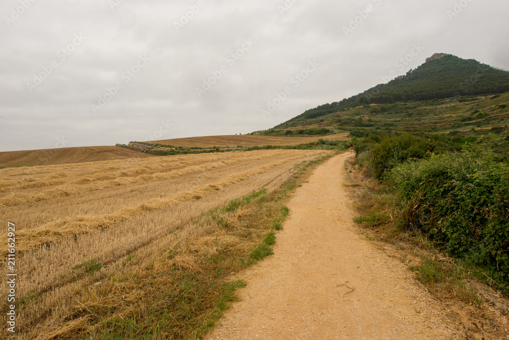 Camino de Santiago as it passes through Navarra