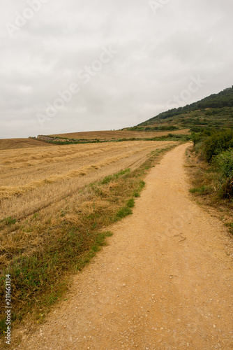 Camino de Santiago as it passes through Navarra