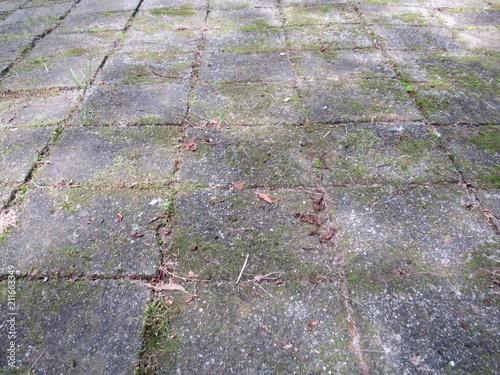 Old stone tiles with weeds and moss growing between the cracks 