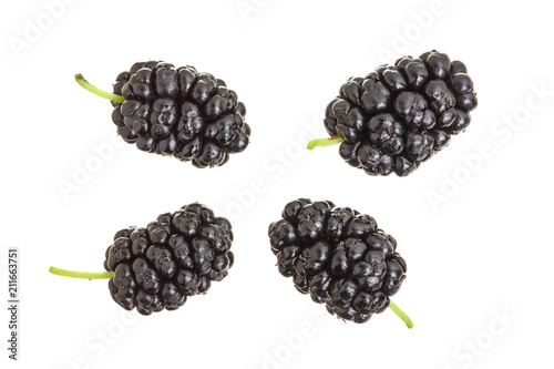 Mulberry berry isolated on white background. Top view. Flat lay