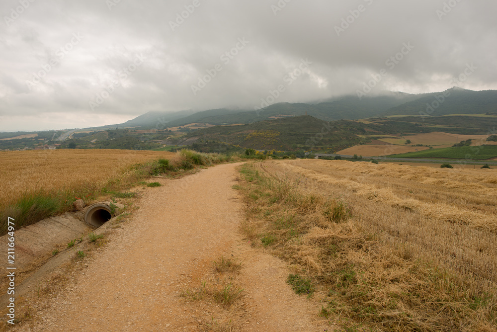 Obraz premium Camino de Santiago as it passes through Navarra