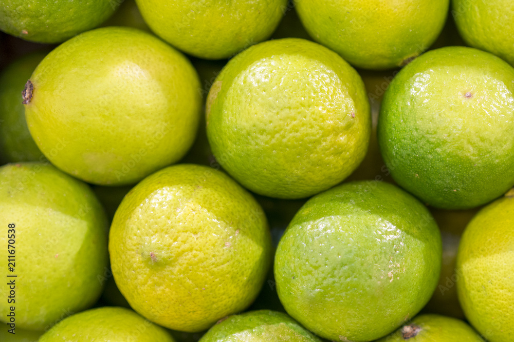 lime harvest. many green limes. lime background. limes from tree. lime harvest. many limes. perfect limes lime harvest. many green limes. lime background. limes from tree. lime harvest. many limes. perfect limes