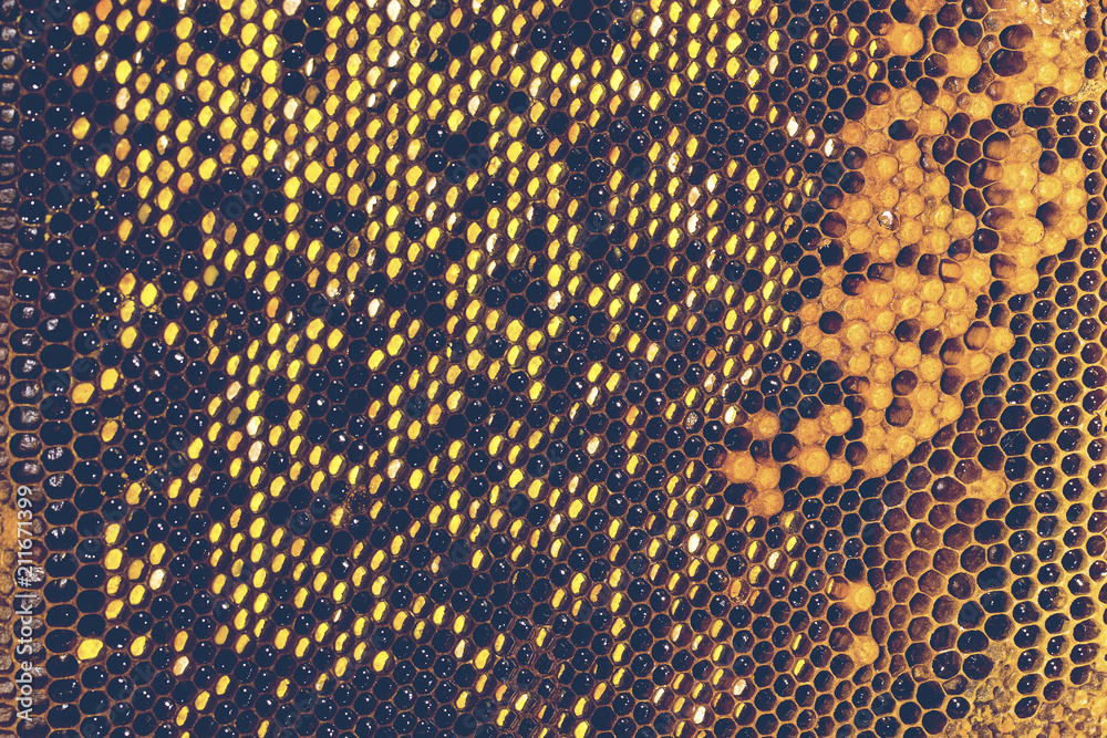 honeycomb background concept honeycomb background concept