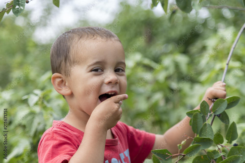 A happy little boy eats berries from a bush. A happy little boy eats berries from a bush.