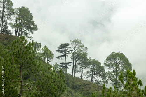 green hill in the clouds