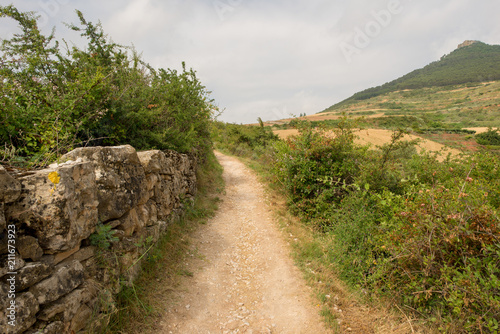 Camino de Santiago as it passes through Navarra