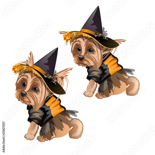 Yorkshire Terrier in witch costume isolated on white background. Cute animated dog in a witch hat. Sketch for greeting card, festive poster or party invitations. The attributes of holiday Halloween.