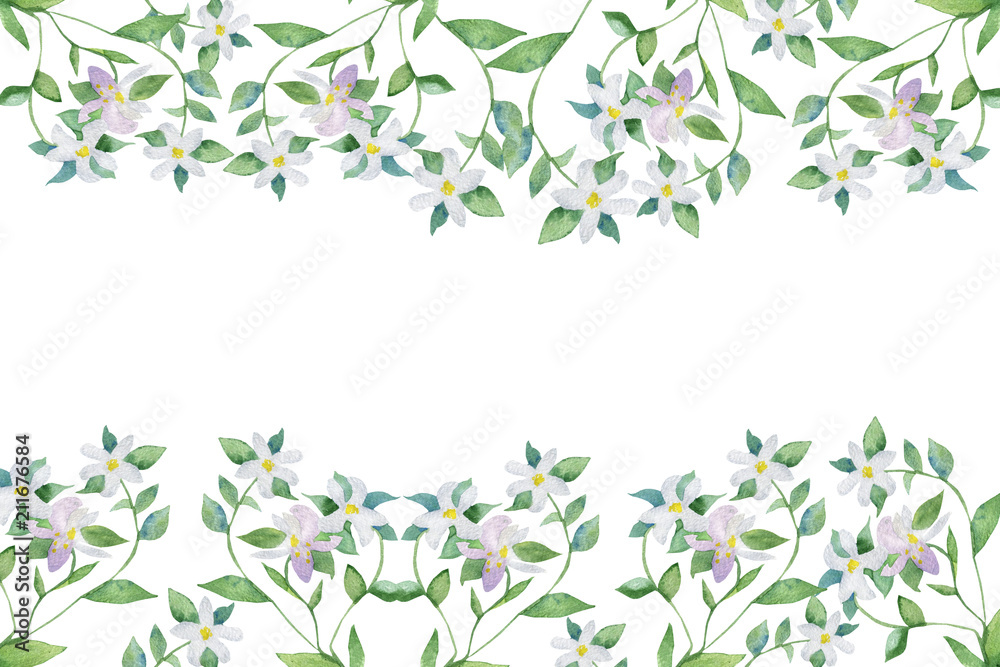 Obraz premium a blooming bergamot