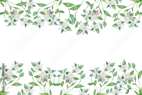 Wallpaper Mural a blooming bergamot Torontodigital.ca