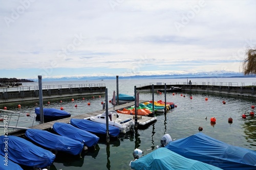 Bodensee in hagnau im Frühjahr photo