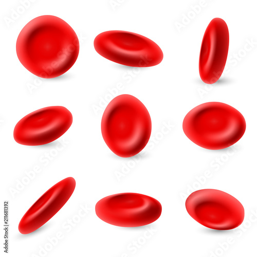 Human erythrocyte, 3d microscopic red blood cells vector set isolated on white background