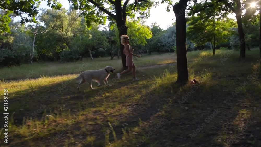 girl playing with labrador retriever dog in park girl playing with labrador retriever dog in park