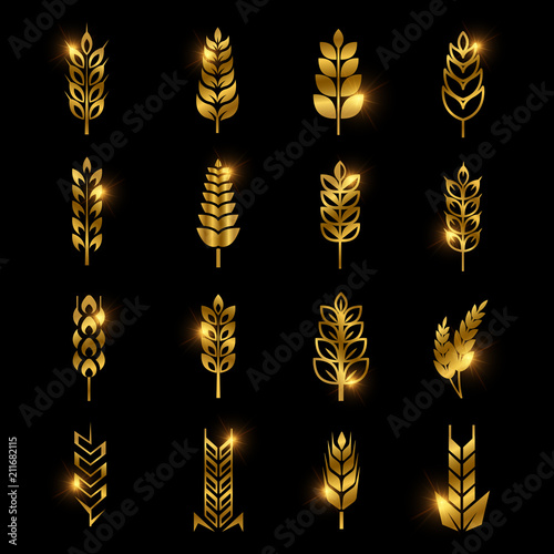 Golden wheat ears vector icons isolated on black background