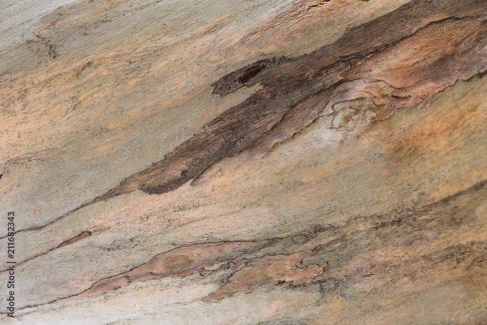 Wooden texture. Platan tree. Natural texture background. Abstract background Wooden texture. Platan tree. Natural texture background. Abstract background