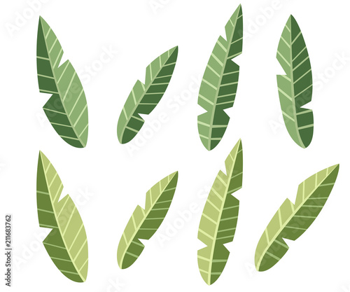 Collection of green tea leaf. Flat style illustration. Damaged leaves set. Vector illustration isolated on white background