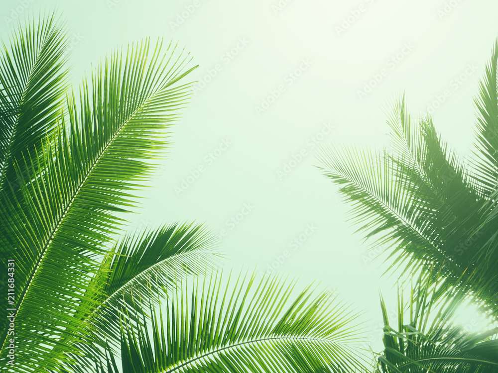 Naklejka premium coconut palm tree in vintage style
