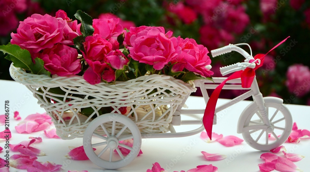 Cute decorative composition with white bike and pink delicate roses with rose petals on the garden background.