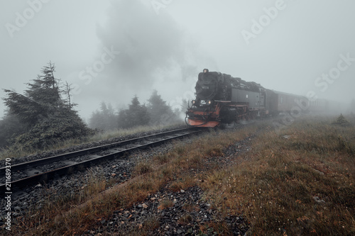 Einfahrt der Harzer Schmalspurbahn. Eisenbahn im Nebel
