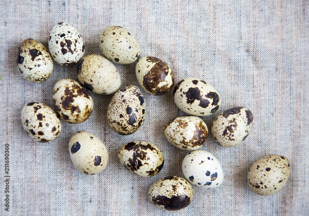 Quail eggs, top view. From above, overhead. Close-up. Quail eggs, top view. From above, overhead. Close-up.