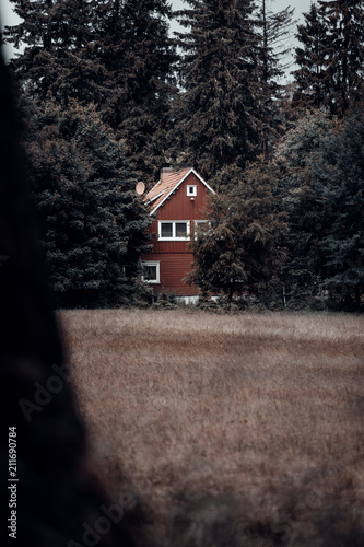 Fototapeta Naklejka Na Ścianę i Meble -  Rote Hütte steht allein im Wald