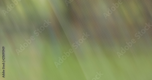 abstract unfocused design stripped nature environment background concept with empty space for copy or text