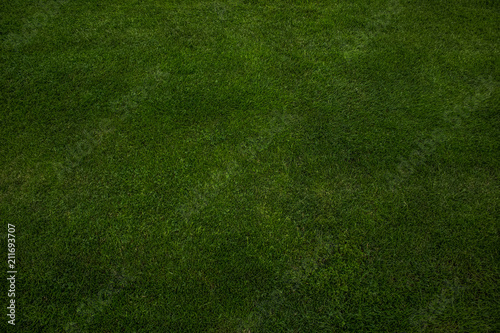 soft focus synthetic football green grass background texture with empty space for copy or text © Артём Князь