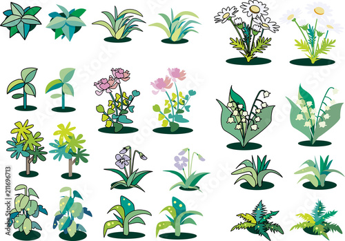 草や花のカット集