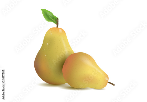 Realistic illustration pears isolated on white background