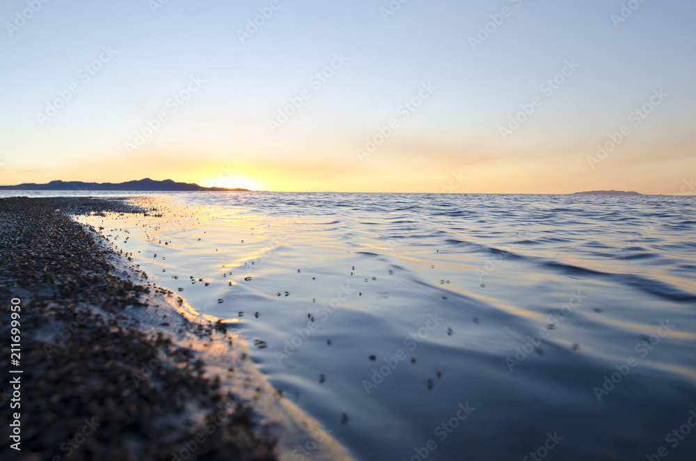 The cool calm waves on the bug filled shoreline in the evening sun at the great salt lake utah. 