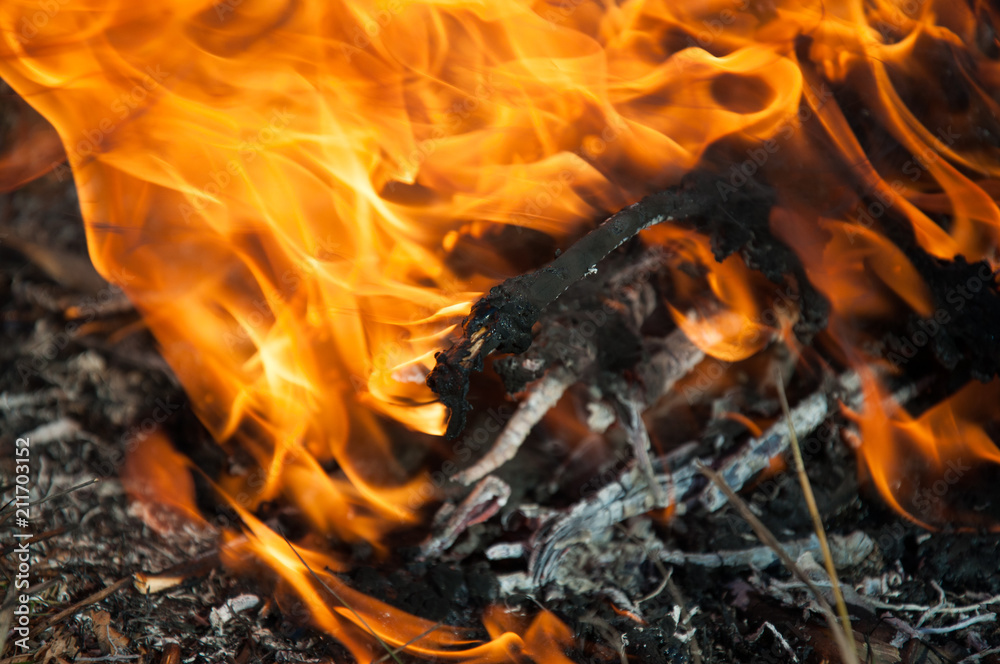 Campfire flame and smoke. Burning brushwood and dry grass. Close up shot Campfire flame and smoke. Burning brushwood and dry grass. Close up shot