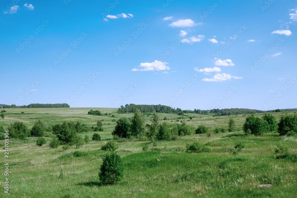 a picturesque view of the green field