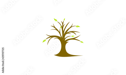 tree with little leaves