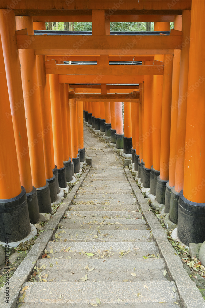 Torii gate in Fushimi Inari Shrine, Kyoto, Japan Torii gate in Fushimi Inari Shrine, Kyoto, Japan