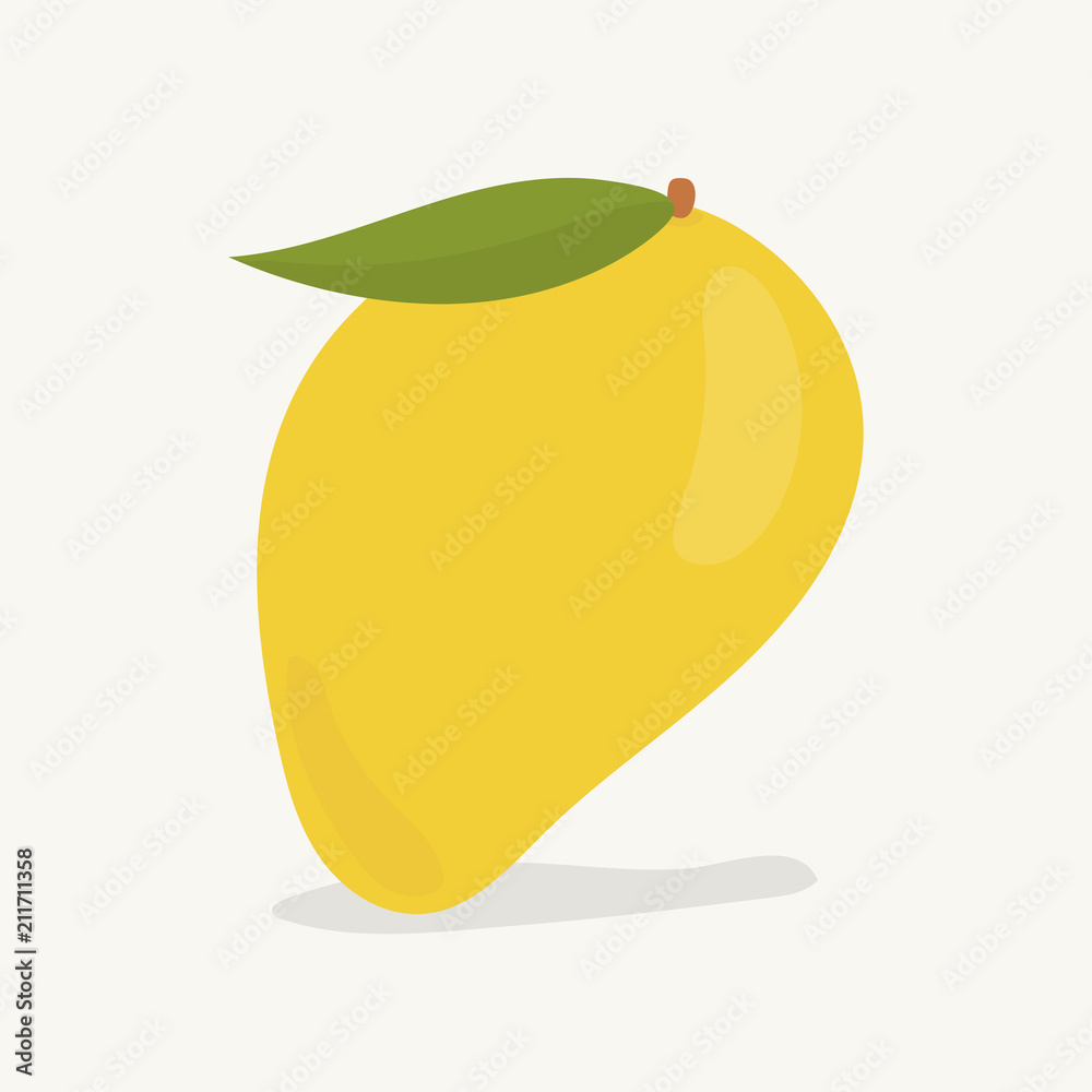 Fototapeta Hand drawn mango fruit illustration