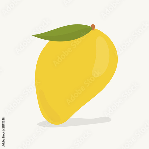 Hand drawn mango fruit illustration