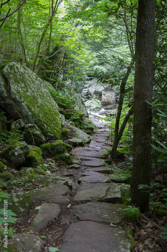 Stone Path Hiking Trail Through Trees and Rocks in Jefferson National Forest in Virginia photo