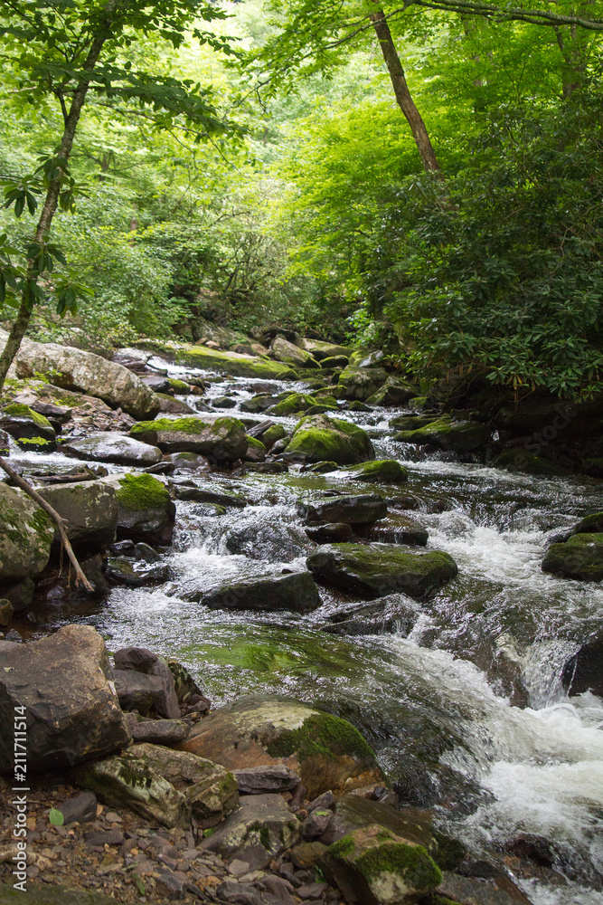River Water Flowing Through Moss Covered Rocks in Jefferson National Forest in Giles, Virginia in Summer River Water Flowing Through Moss Covered Rocks in Jefferson National Forest in Giles, Virginia in Summer