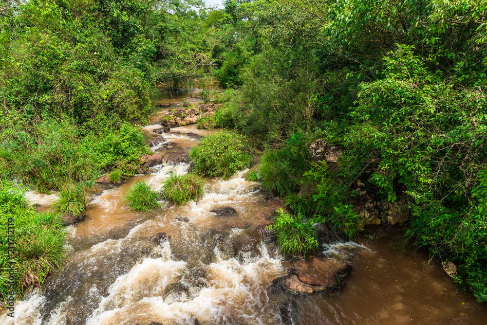 Wide angle landscape view of a tropical river in rainforest jungle with rocks, trees, and blue sky on a sunny summer day