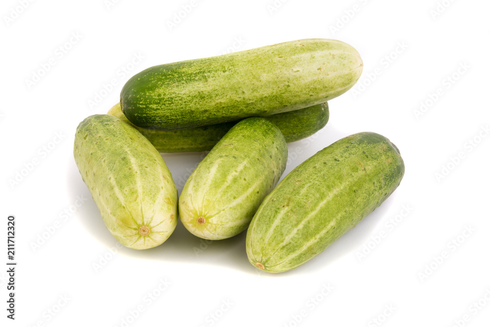 cucumber isolated cucumber isolated
