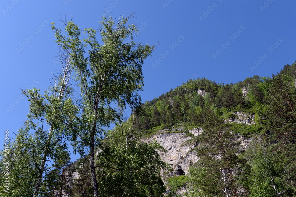 Mountain landscape. Altai. Western Siberia Mountain landscape. Altai. Western Siberia