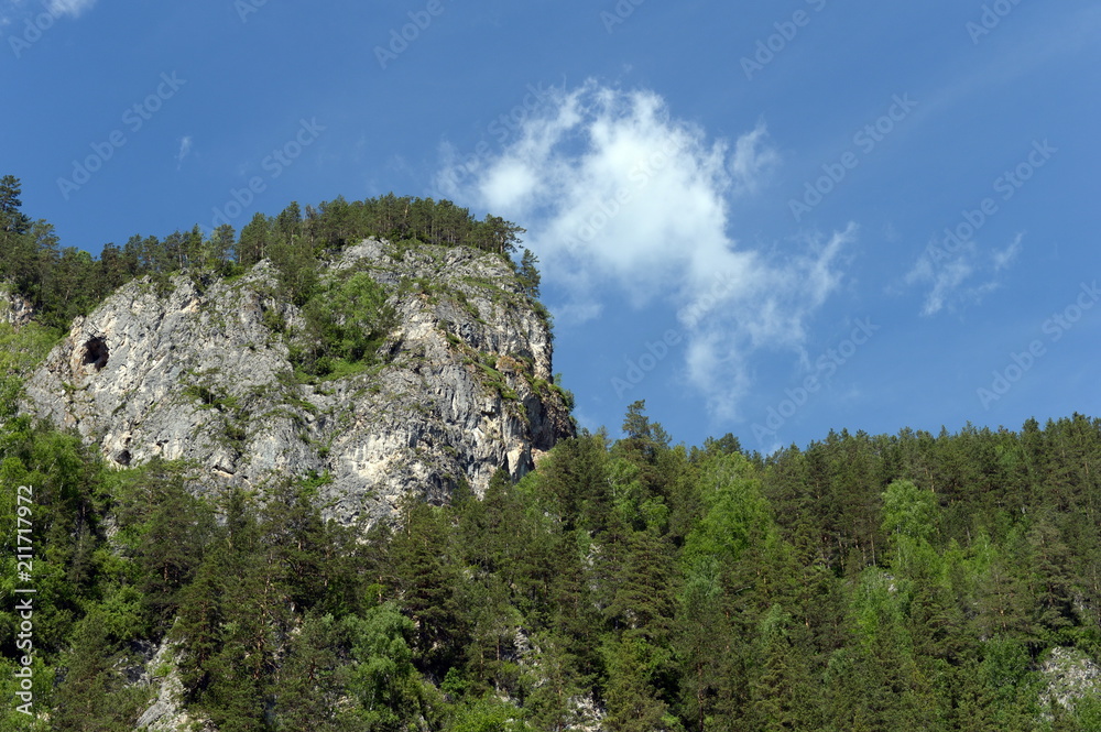 Mountain landscape. Altai. Western Siberia