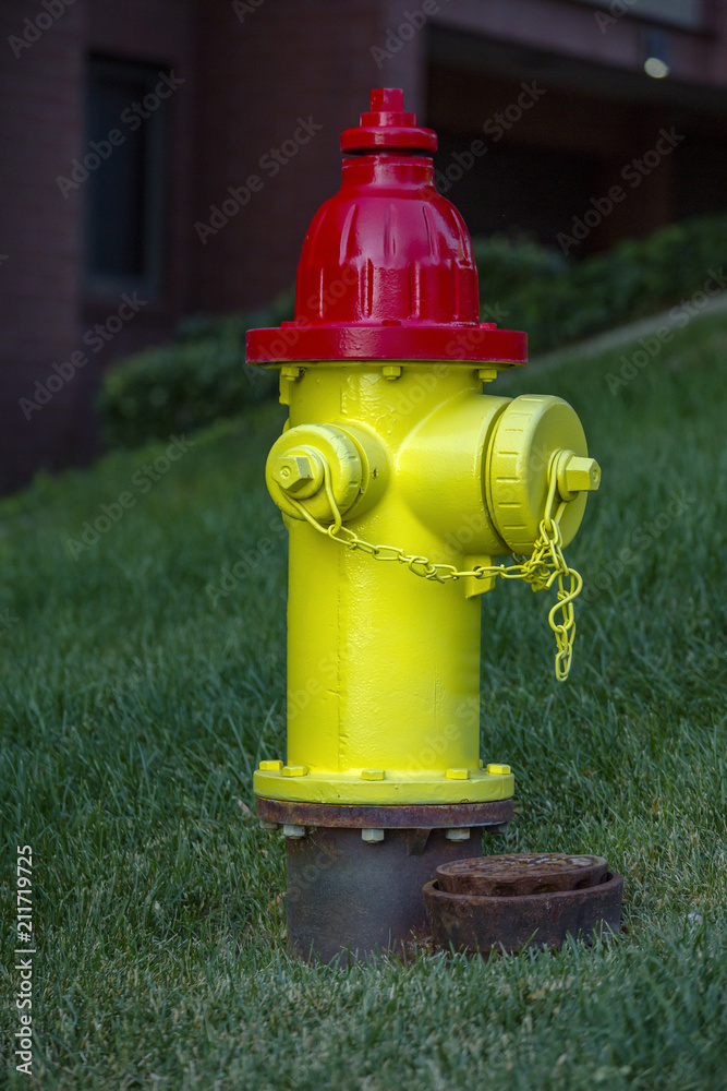 Yellow and red fire hydrant downtown residential Yellow and red fire hydrant downtown residential