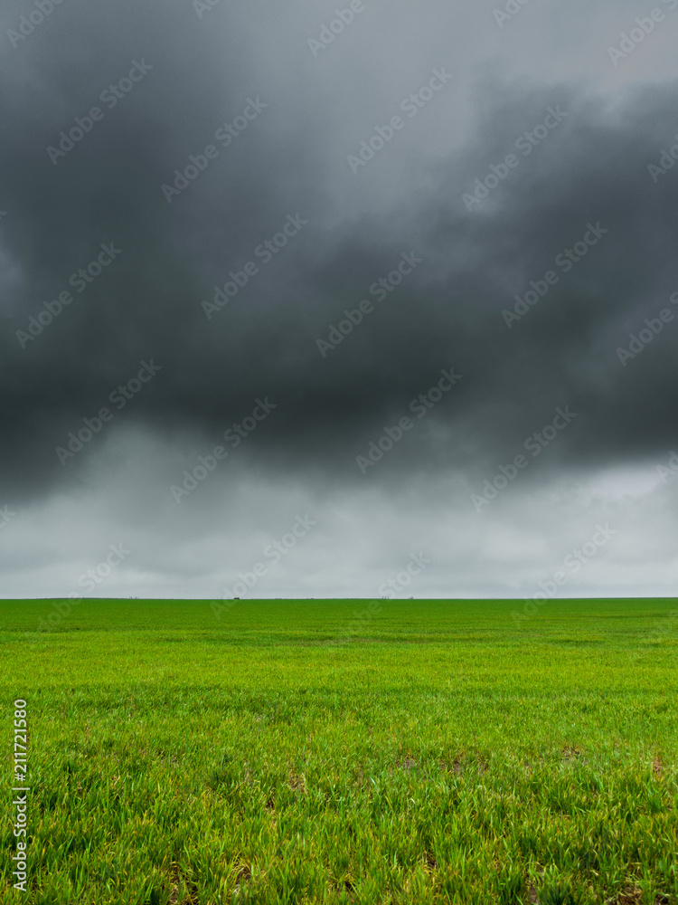 Green Fields (Portrait) Green Fields (Portrait)