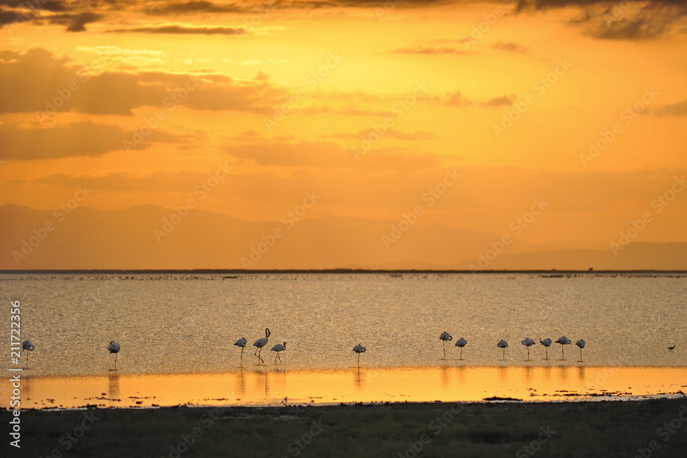 Naklejka premium Sunset in the Kenyan National Park Amboseli