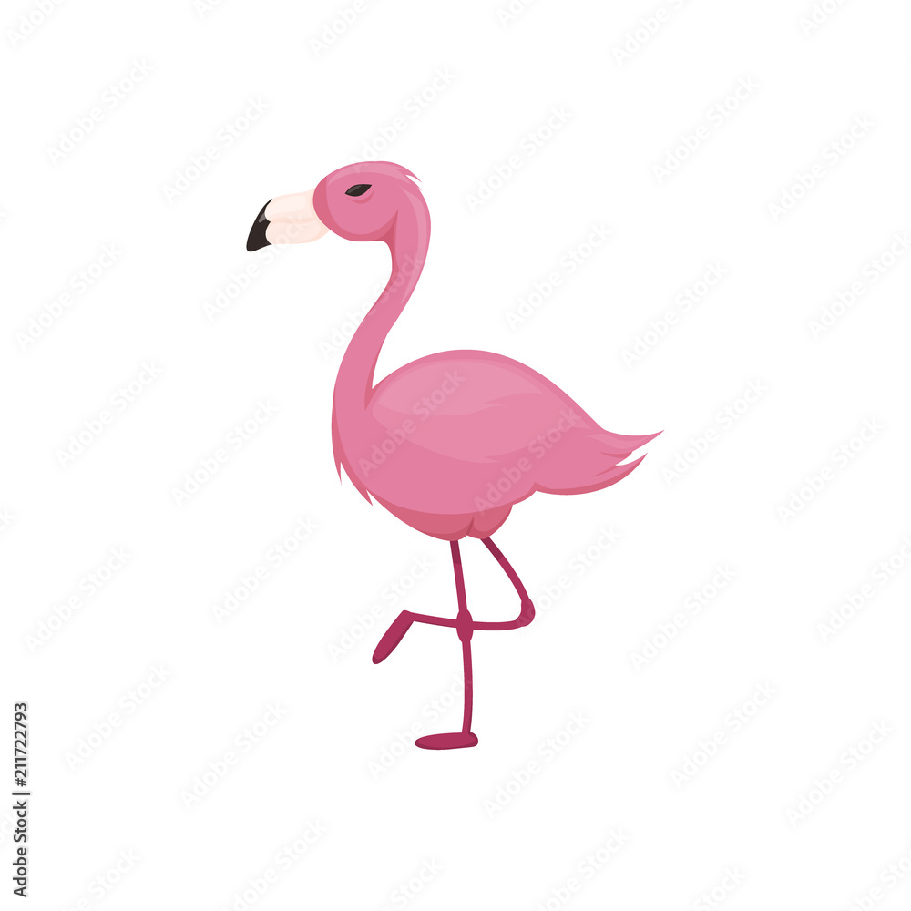 Fototapeta premium Pink flamingo vector illustration isolated on white background.