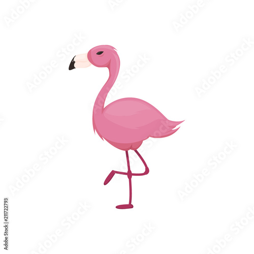 Pink flamingo vector illustration isolated on white background.