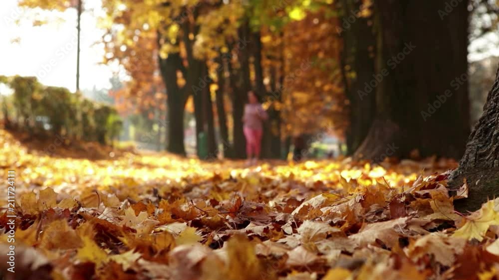 Woman jogs in autumnal park full of yellow and orange leaves unfocused footage Woman jogs in autumnal park full of yellow and orange leaves unfocused footage
